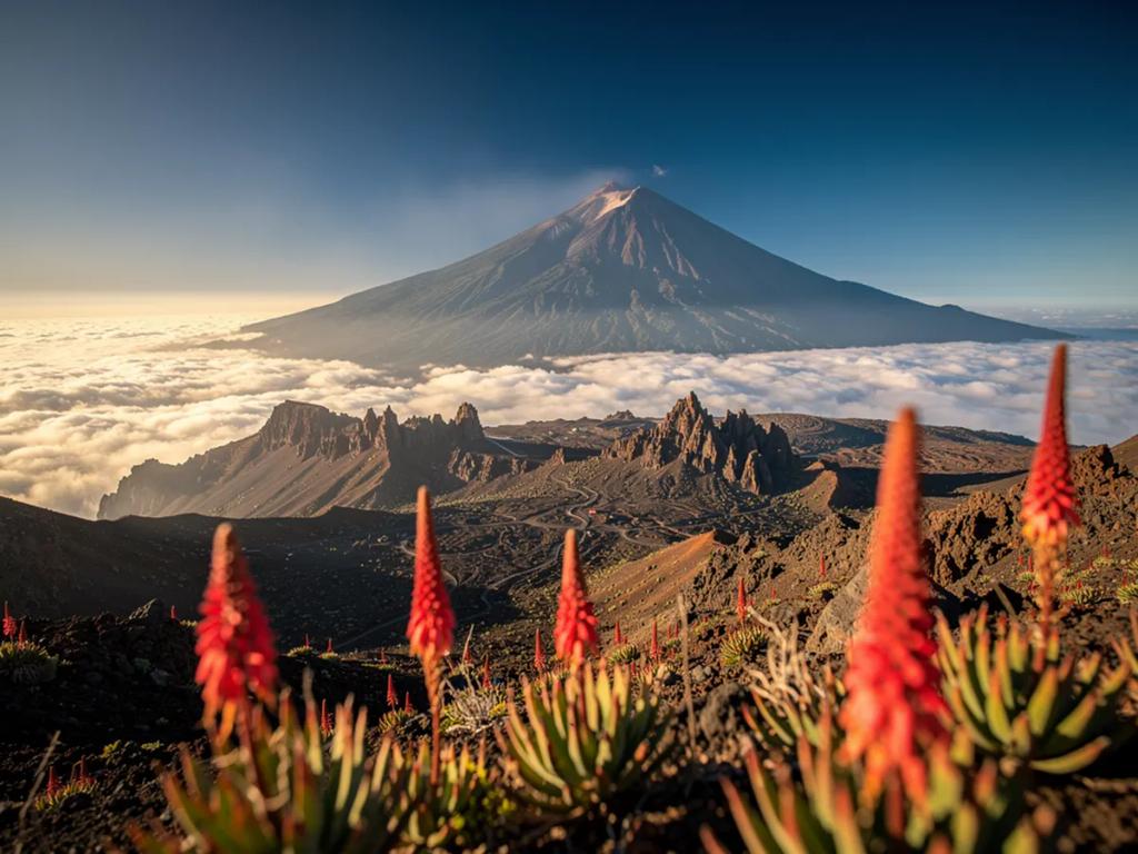 Tenerife eSIM - Tenerife, İspanya için ön ödemeli seyahat interneti satın alın
