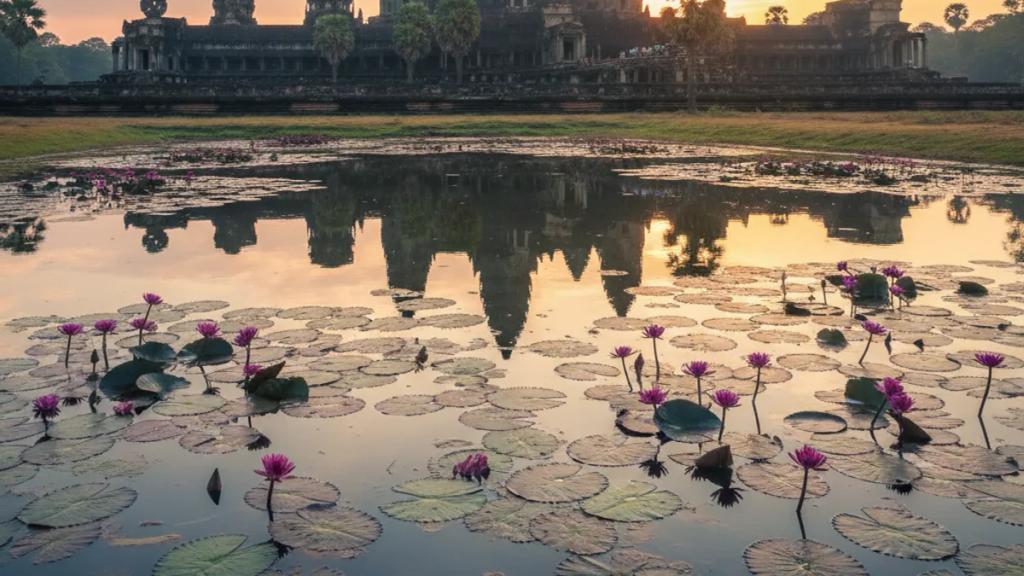 Kamboçya'da Angkor tapınaklarının önünde telefonunun çekip çekmediğini kontrol eden bir gezgin