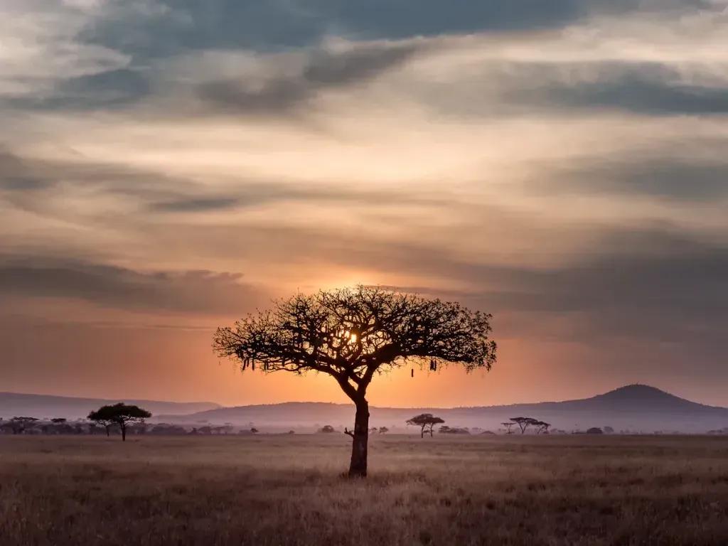 Jinja eSIM - Jinja, Uganda için ön ödemeli seyahat interneti satın alın