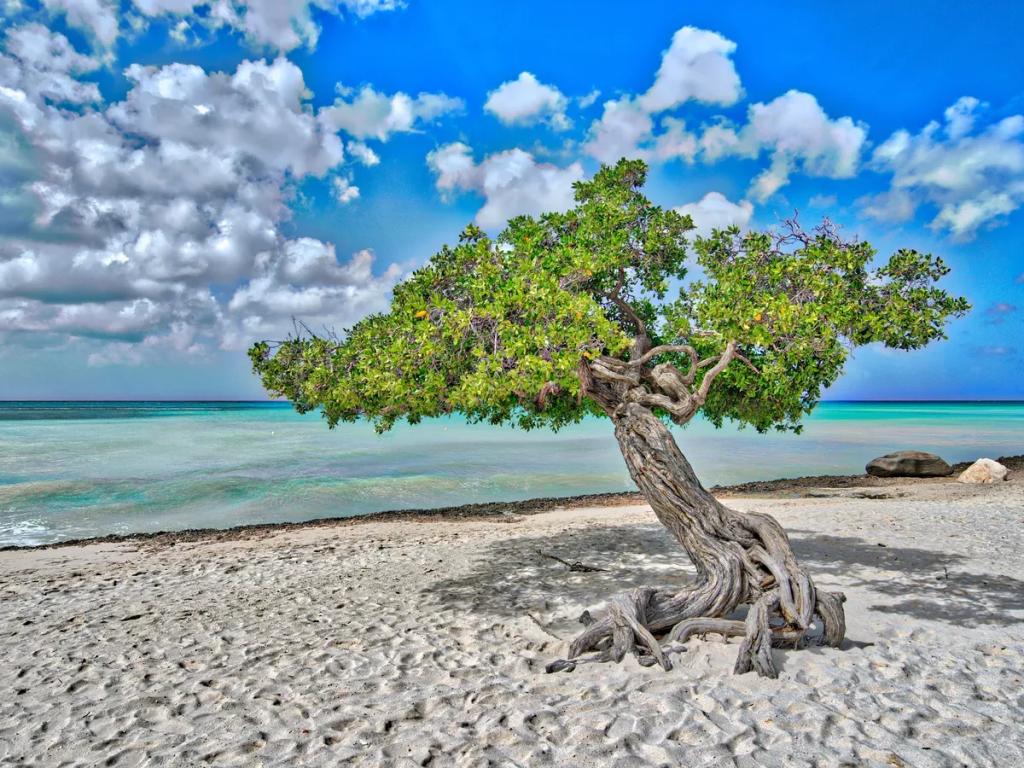 Aruba seyahati - Mobil internet için Aruba eSIM satın alın